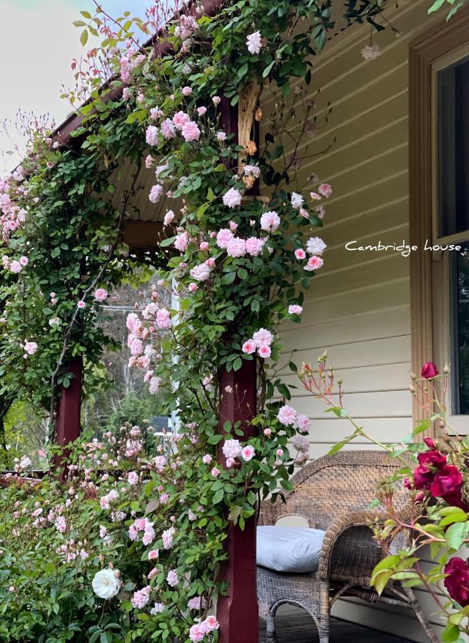 Cambridge House Breakfast & Bed Bed & Breakfast Geeveston Dış mekan fotoğraf