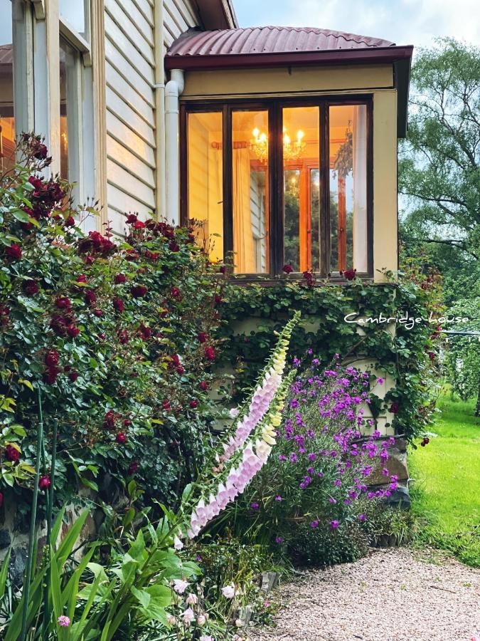 Cambridge House Breakfast & Bed Bed & Breakfast Geeveston Dış mekan fotoğraf