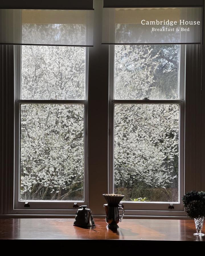 Cambridge House Breakfast & Bed Bed & Breakfast Geeveston Dış mekan fotoğraf