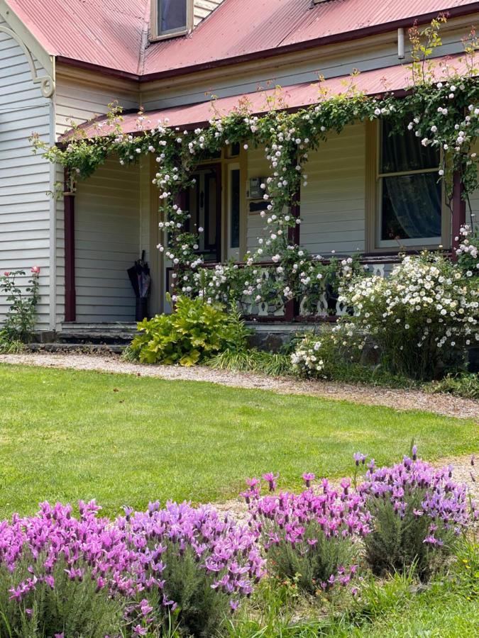 Cambridge House Breakfast & Bed Bed & Breakfast Geeveston Dış mekan fotoğraf