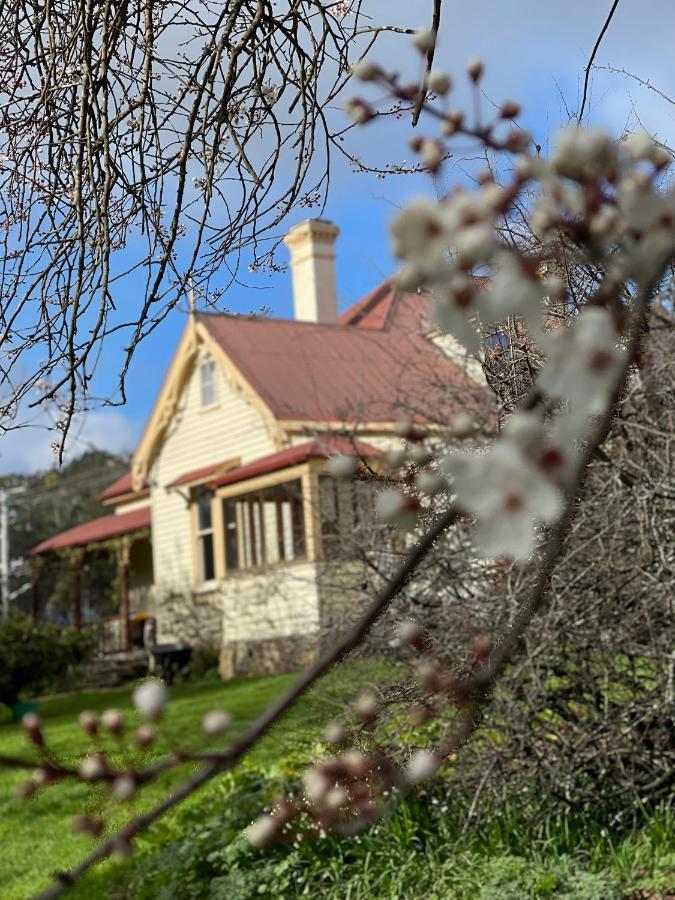 Cambridge House Breakfast & Bed Bed & Breakfast Geeveston Dış mekan fotoğraf