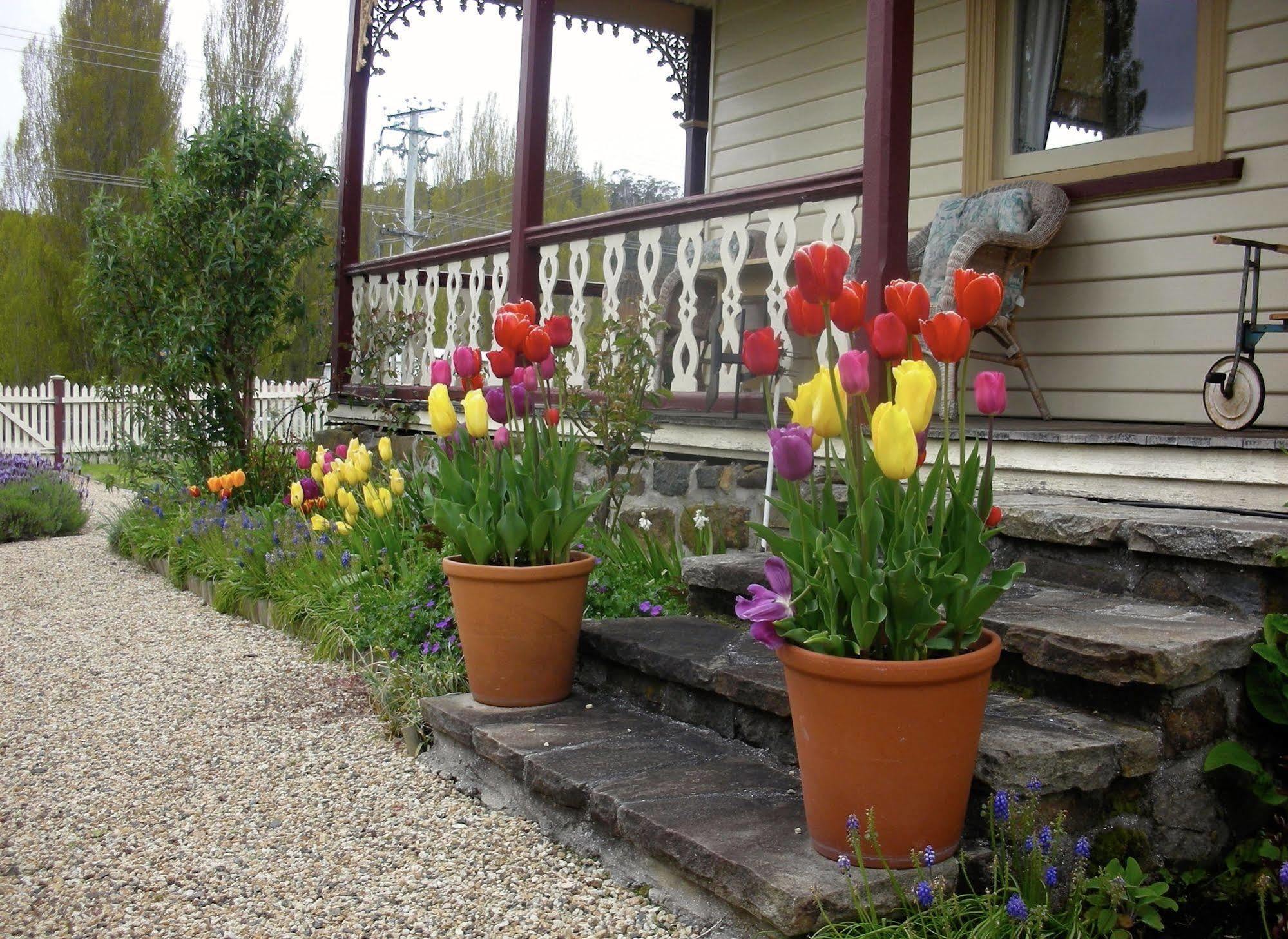 Cambridge House Breakfast & Bed Bed & Breakfast Geeveston Dış mekan fotoğraf